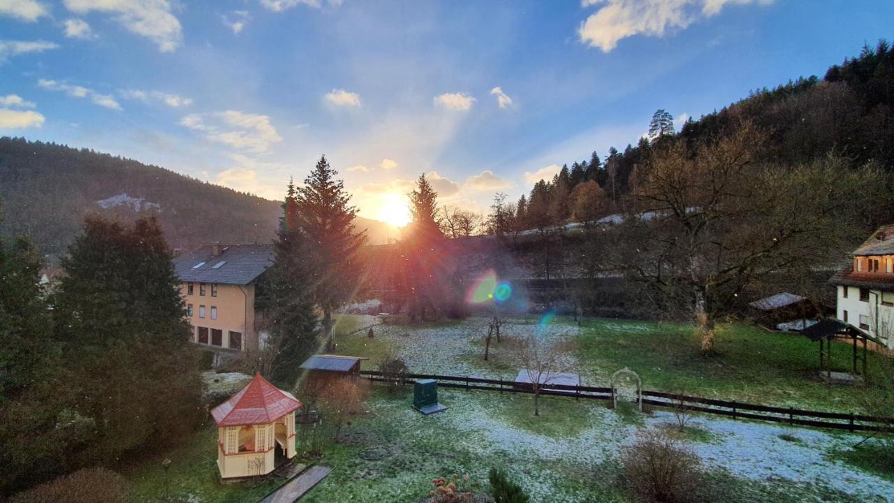 Ferienwohnung Sägemühle Unterreichenbach Exterior foto